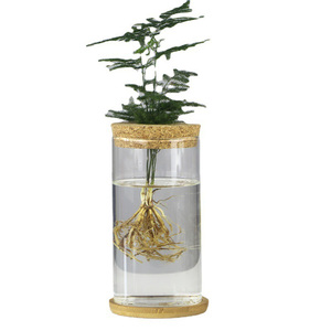 Terrario de Escritorio para Plantas, Estación de Propagación, Maceta de Vidrio para Mesa, Florero para Plantas Acuáticas con Tapa para Cultivar Plantas Hidropónicas - Product Image 1