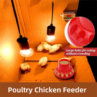 Mangeoire automatique rouge pour poulets, canards, oies, pigeons, cailles et oiseaux, 1,5 kg, 2 kg, 3 kg, 13 trous, distributeur de nourriture pour volailles et animaux de compagnie