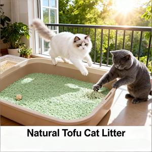 Bandeja de arena para gatos de tofu con carbón activado, almidón de maíz, aglomeración rápida, ecológica, desechable por el inodoro, sin obstrucciones - Product Image 1