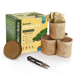 Bonsai Starting Kit Unique Diy HobbiesTools For Plant Lovers Bonsai Tree Growing Tools Kit For Adults Kids
