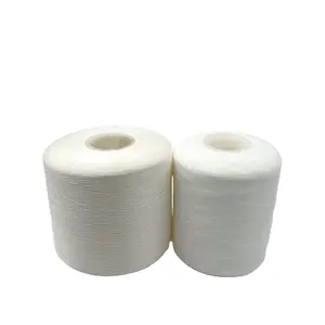 Topkwaliteit Ruwe Witte Kleur Fabriek Direct Verkopende Plastic Kegel 1,0Kg 2.0kgs Gerecycled Nylon Naaigaren