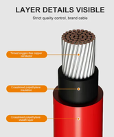 0.6/1kv câble solaire XLPO à un noyau 6mm2 cuivre étamé noir rouge fil électrique photovoltaïque résistant à la chaleur pour l'énergie solaire
