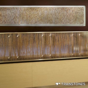 Hoja PETG de alta calidad con plantas implantadas Sándwich Panel de puerta acrílico de 6mm Panel de pared artificial Piedra - Product Image 5