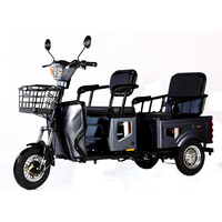 VENTE FLASH 600W 48V Tricycle cargo électrique 3 roues Vélo électrique vintage Longue portée Livraison Ebike avec grand panier