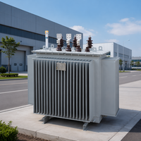 Stabilisateur de tension triphasé immergé dans l'huile 315 KVA 380 V, régulateur de puissance certifié CE