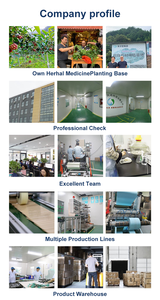 Patch Chinois de Soulagement pour Douleurs Musculaires, Lombaires, Articulaires et Genouillères – Matériel de Santé pour Application Corporelle, Autres Produits de Santé - Product Image 4