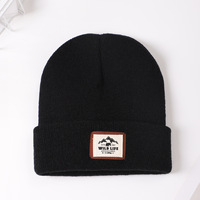 SOLPOP Wildlife – bonnet tricoté de couleur unie pour femmes et hommes, bonnet décontracté doux, coupe-vent, chaud pour l'hiver, pour le camping et le cyclisme