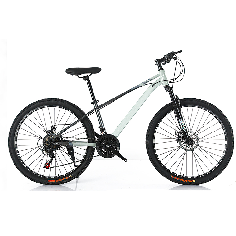 どんな地形も制覇。プレミアムな中国から自転車を輸入する性能。