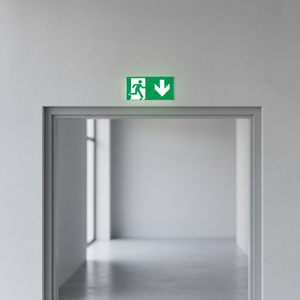 Señal de flecha hacia abajo de salida de emergencia-PVC luminiscente 150*300mm - Product Image 3