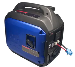DC 24V Portable Gasoline Generator 480*300*470 5W-40W Electric Portable Gasoline Inverter Generators With Free Battery Line