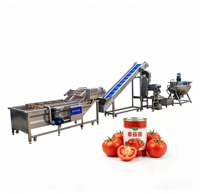 500kg per uur fruitjam productielijn met was-, schil-, ontpit-, kook- en vulmachine voor commerciële voedingsmiddelenfabriek