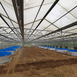 Aquacultuur Zee Zout <span class=keywords><strong>Betta</strong></span> Boerderij Vis, Rivierkreeft Landbouw, Garnalen Boerderij Kreeft - Product Image 2