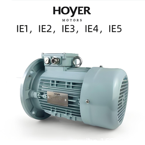 Motores Hoyer IE3 de 220/380/415/440/660 V, 45 kW, 75 kW, 90 kW, 1000 RPM, Motor de Inducción Trifásico, IP55 TEFC, 50/60 Hz - Product Image 2