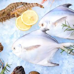 Нутрацевтические пищевые ферменты для разложения протеазы гидролиза мяса и морского белка - Product Image 5