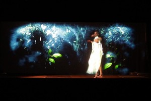 Large Seamless 3D <strong>Hologram</strong> Projection Mesh Screen Fireproof for Holo Gauze Screen Material High Visibility Optical <strong>Effect</strong> - Product Image 3