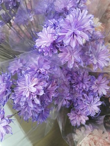 Flores Secas Hechas a Mano, Epiphyllum, Cereus Artificial <span class=keywords><strong>de</strong></span> Floración Nocturna para Arreglos Florales, Gran Venta 2024 - Product Image 5