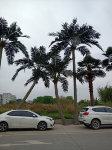 Trung Quốc giá rẻ Giá bán lớn trong nhà và ngoài trời trang trí cảnh quan kim loại giả cây cọ nhựa cây dừa nhân tạo - Product Image 4