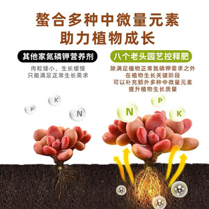 Fertilizante de Liberación Controlada NPK Granular Eight Old Men para el Crecimiento de Plantas en Jardinería Doméstica - Product Image 1