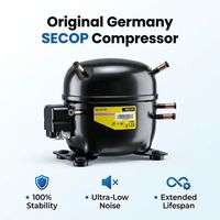 2-en-1 -20 °   Appareil de refroidissement portable pour soulager la douleur, machine de refroidissement cutané à air froid ZimmerTherapy