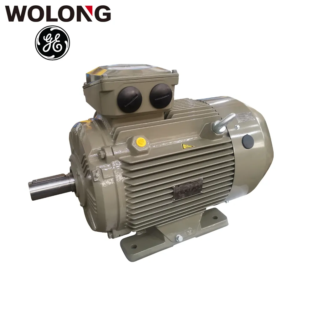 Motore elettrico a corrente alternata asincrono trifase ad alta efficienza Wolong GE WE3 IE3