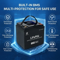 Baterai Lithium LiFePO4 12V 30Ah 50Ah 4000 Siklus BMS Pengganti Aki Timbal Asam untuk Kereta Golf, Kursi Roda, Skuter Mobilitas