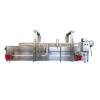 200 Kg/u Frietproductielijn Complete Food Grade Roestvrijstalen Aardappelchips Machine Met Mixer En Friteuse Voor Fruit