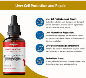 自然成分ミルクシスル肝臓健康ドロップ犬と猫のための液体溶液-安全な敏感消化サポートすべての品種 - Product Image 5