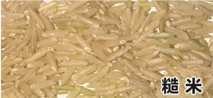 Máquina Desgranadora <span class=keywords><strong>de</strong></span> <span class=keywords><strong>Arroz</strong></span> <span class=keywords><strong>de</strong></span> Nuevo Tipo - Product Image 4
