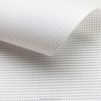 250GSM 350GSM 1100DTEX 12*12 nouvelle technologie matériaux vinyle PVC enduit polyester maille dans la doublure pour la publicité à jet d'encre