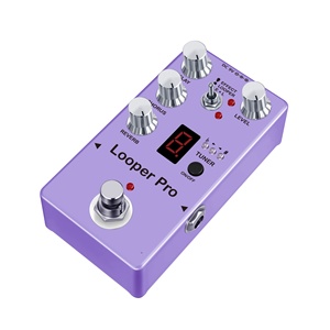 Looper Pro-melodico Loop Chorus Delay riverbero effetti di accordatura accessori per chitarra strumento - Product Image 5