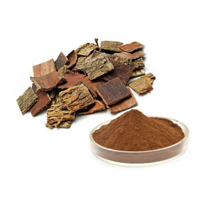 Tự nhiên và cao cấp 20:1 <span class=keywords><strong>eucommia</strong></span> <span class=keywords><strong>extract</strong></span>/<span class=keywords><strong>eucommia</strong></span> chiết xuất bột - Product Image 2