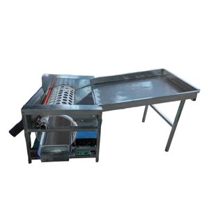 Machine de tri et de calibrage multifonctionnelle neuve pour pommes de terre et pommes, pour les usines de transformation de fruits, fabriquée en Chine - Product Image 6