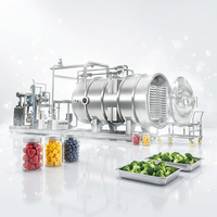FDG-50 Vacuümvriesdroger voor dierenvoer, fabrieks prijs. Apparatuur voor het vriesdrogen van fruit, groenten, melk, koffie, snoep. Lyofilisator.