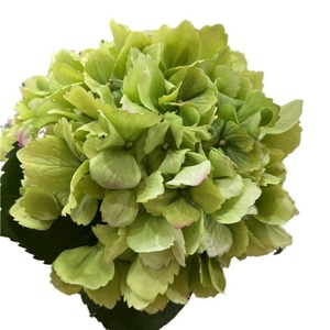 Arrangement floral artificiel MTY en soie moderne, toucher hydratant, pour salon, table à manger, hall d'hôtel, mariage - Product Image 5