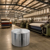 Isolation en feuille bulle réfléchissante moderne avec valeur R4.0 et caractéristiques écologiques pour les toitures d'usines de transformation alimentaire en acier
