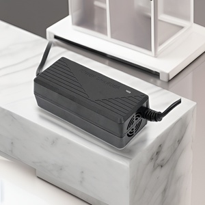 Cargador Ignífugo de 29.6V/5A para E-Mobility - Soluciones de Componentes Alternativas <span class=keywords><strong>Rentables</strong></span> - Product Image 1