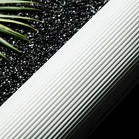 Filtre à charbon actif à particules de charbon 10 pouces universel UDF purificateur d'eau domestique RO boisson droite Machine à eau pure