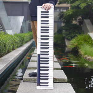 IRIN Nouveau Prix de Gros Instrument de Musique Numérique 61 Touches Piano Orgue Électronique Blanc Noir avec Batterie au Lithium - Product Image 2