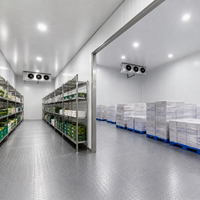 Chambre froide de grande capacité pour entrepôt alimentaire et chaîne du froid avec unité de réfrigération Bitzer et système de climatisation