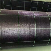 Toile de paillage en polypropylène tissé avec grille, tissu de contrôle des mauvaises herbes en plastique agricole, couverture de sol en PP PE