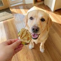 Friandises pour chiens certifiées BRC, riches en protéines et en fibres, enveloppées de poulet frais et de citrouille, collations nutritives pour toutes les races
