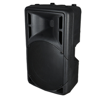 R15 Haut-parleur PA passif professionnel de 15 pouces 500W en plastique pour spectacles en plein air et hôtels