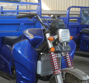 Triciclo de Carga de Alta Velocidad, Gran Potencia, Fuerte Capacidad de Escalada, Triciclo de Construcción de 3 Ruedas, de Gasolina - Product Image 3