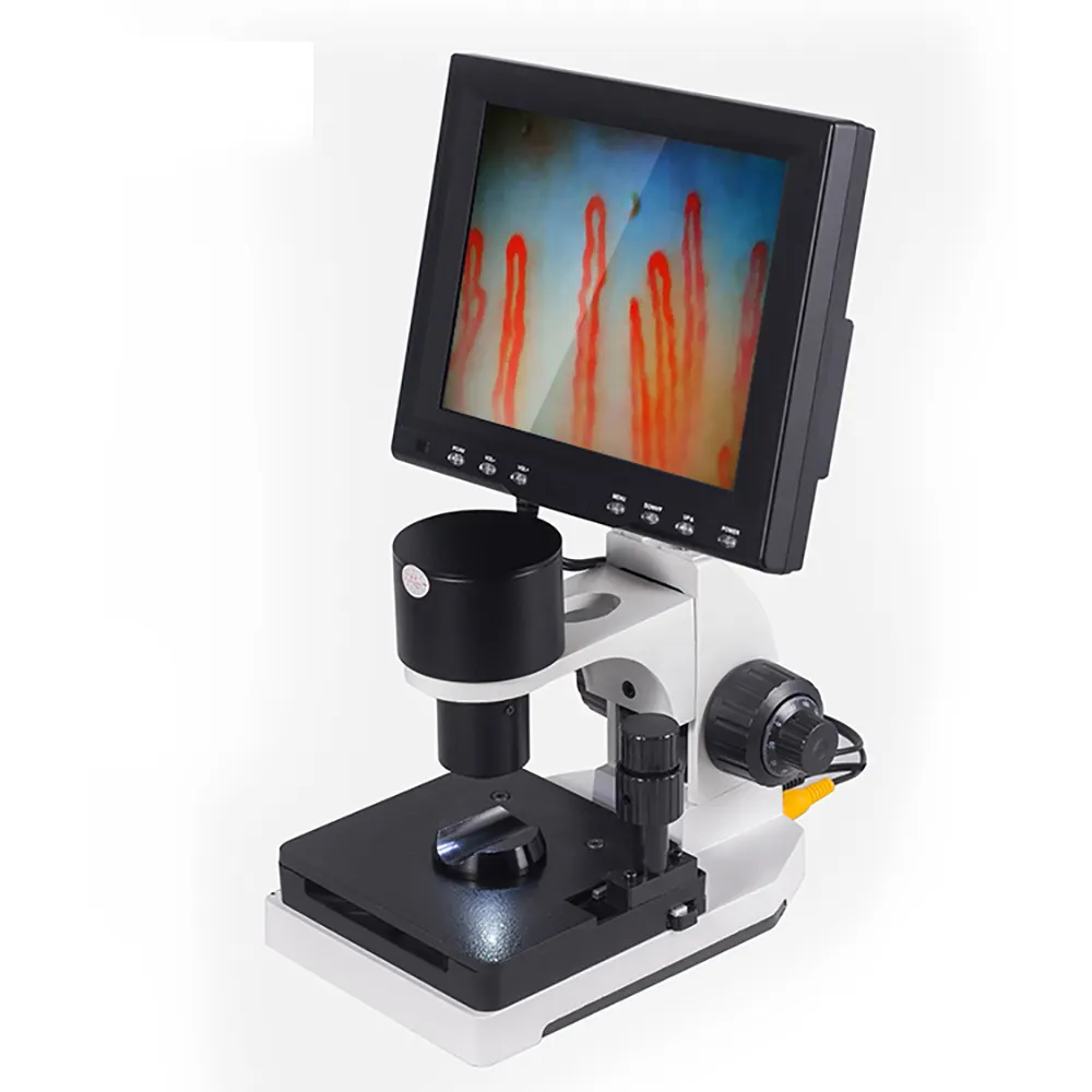 Elektronenmicroscoop/Digitale Microcirculatie Microscoop