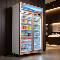 Vitrine verticale pour boissons personnalisable, design moderne, structure solide, porte en verre, pour usage industriel, vente en cours