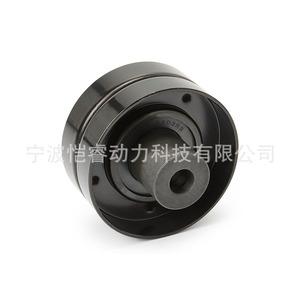 Polea Tensora BK3Q-6C344-AC para Ford Ranger 2.2 TDCi OE 1717608 2052516 Pieza de Repuesto - Product Image 4