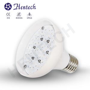 <span class=keywords><strong>Ampoule</strong></span> LED PAR38 à économie d'énergie pour <span class=keywords><strong>piscine</strong></span>, étanche IP68, lampe LED sous-marine E26 pour <span class=keywords><strong>piscine</strong></span> enterrée américaine, compatible avec les luminaires <span class=keywords><strong>Hayward</strong></span> Pentair - Product Image 2