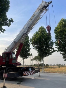 Merek Jepang Asli <span class=keywords><strong>Tadano</strong></span> TG-500E 50 <span class=keywords><strong>Ton</strong></span> Truck Crane dengan Gearbox Engine Pump-Tinggi Angkat 50m Garansi 1 Tahun Tersedia di Stok - Product Image 6