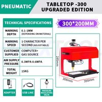 200x13 0mm/300x200mm masaüstü Metal işaretleme makinesi pnömatik küçük kodlama makinesi elektrikli oyma makinesi için plaka