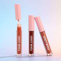 Brillant à lèvres personnalisé rose brillant à lèvres végétalien en verre dépoli étanche tubes de brillant à lèvres vides de longue durée